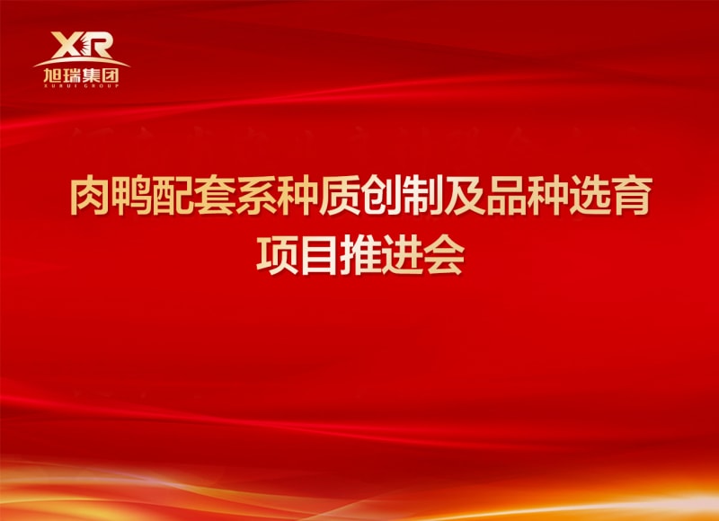 河南省肉鴨種質(zhì)創(chuàng)制及品種選育項目推進(jìn)會順利召開